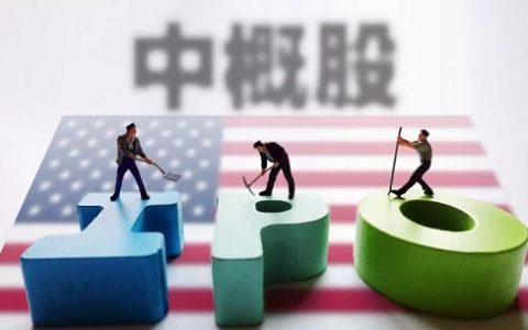 机构牛股